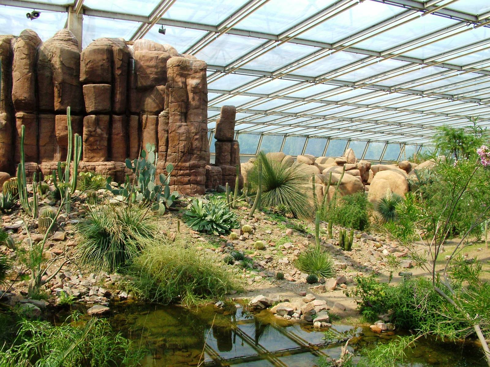 Desert Interior at Burgers Zoo Arnhem, 30/05/12