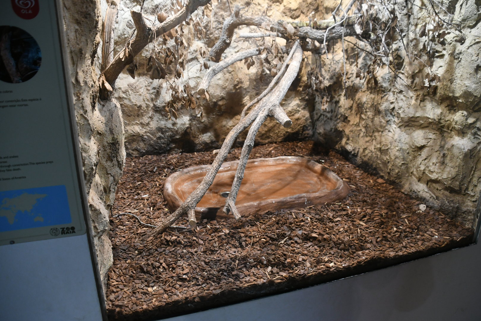 Desert Kingsnake tank (Reptile House)