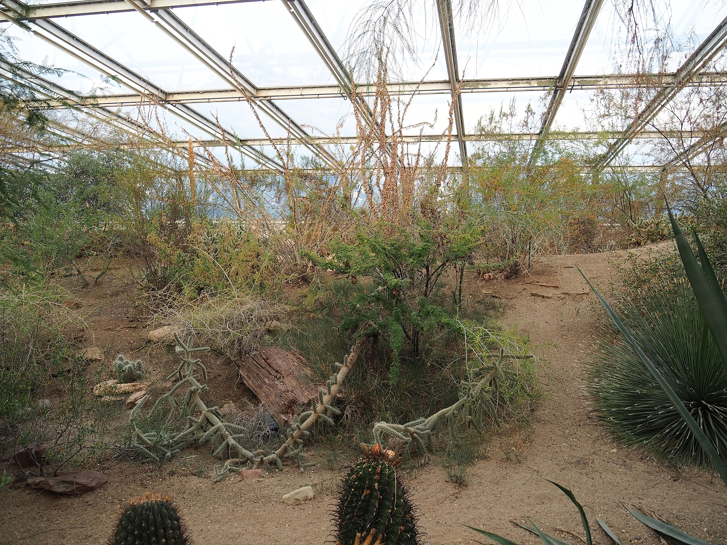 Desert landscape, 2023-10-07