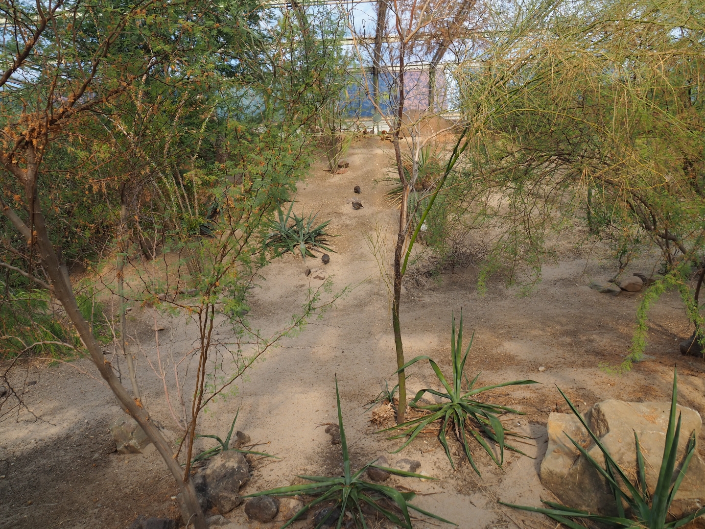 Desert landscape (Se6 16th, 2018)