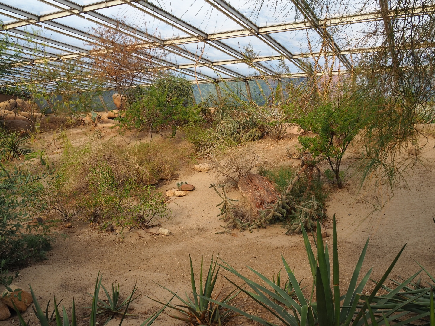 Desert landscape (Sep 16th, 2018)