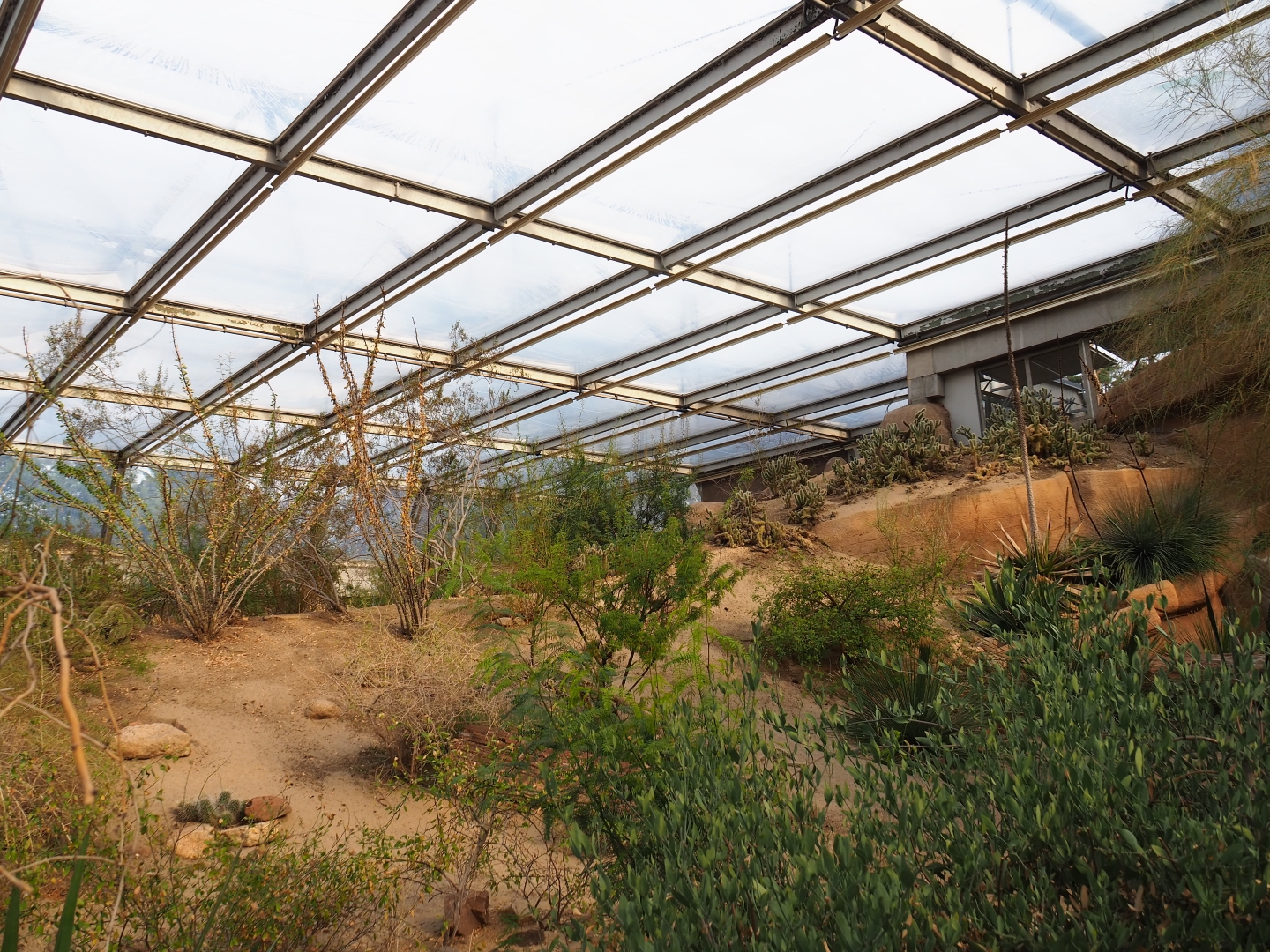 Desert landscape (Sep 16th, 2018)