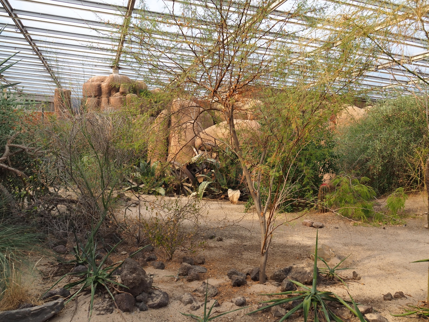 Desert landscape (Sep 16th, 2018)