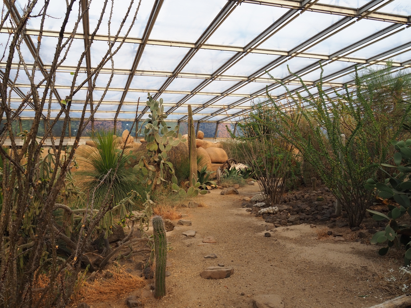 Desert landscape (Sep 16th, 2018)