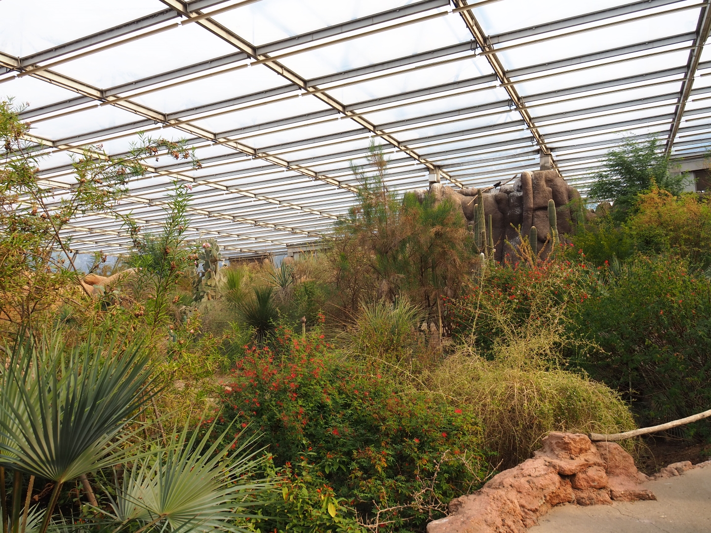 Desert landscape (Sep 16th, 2018)