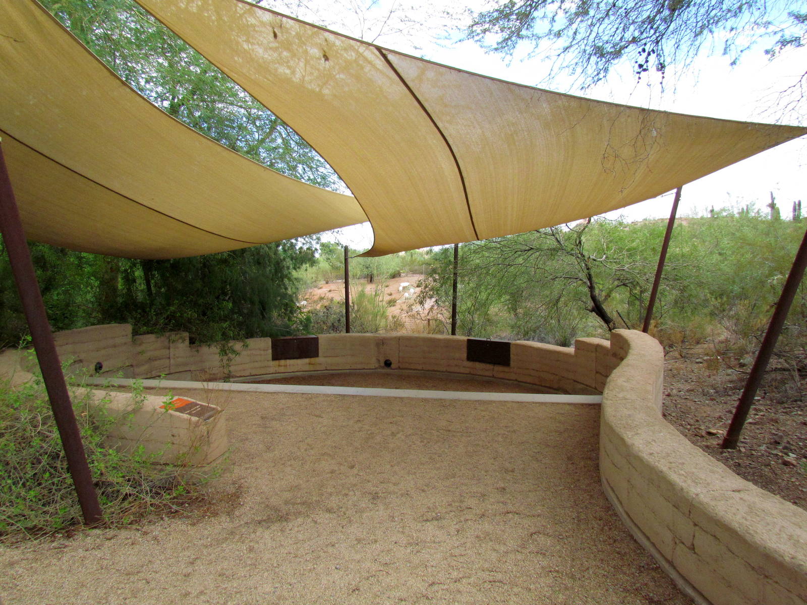 Desert Lives - Amphitheater