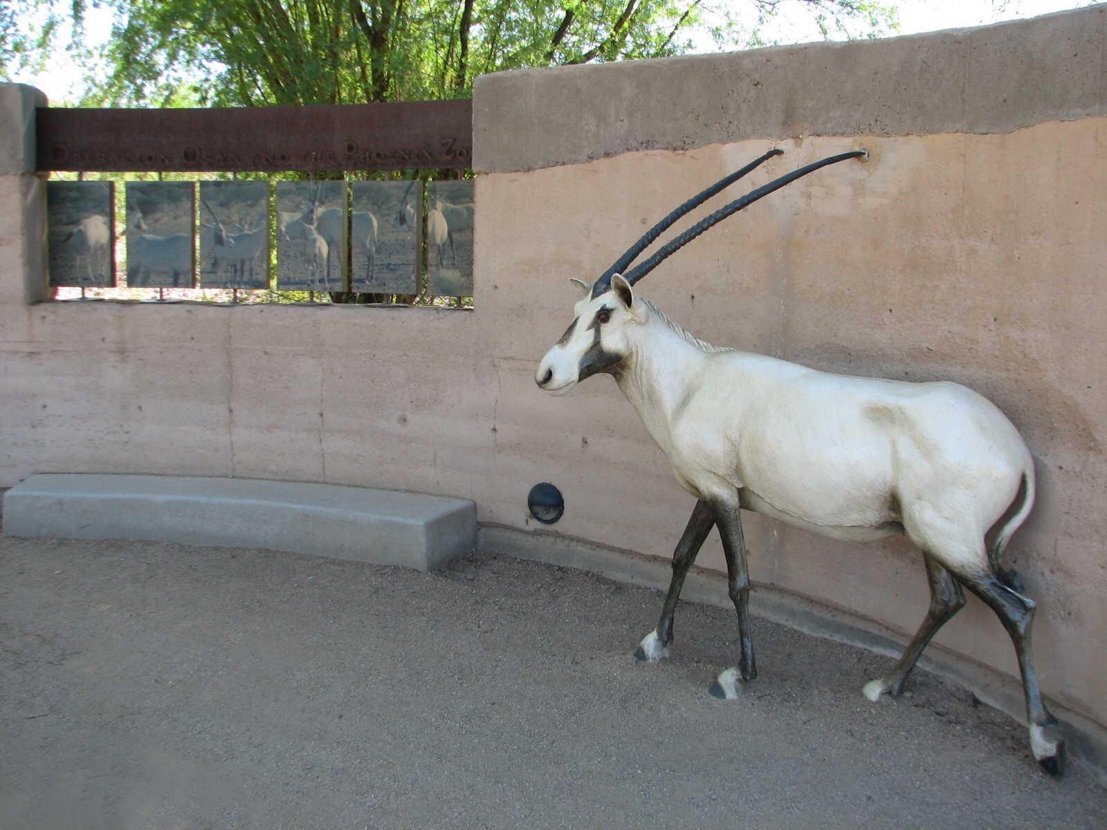 Desert Lives - Arabian Oryx Statue