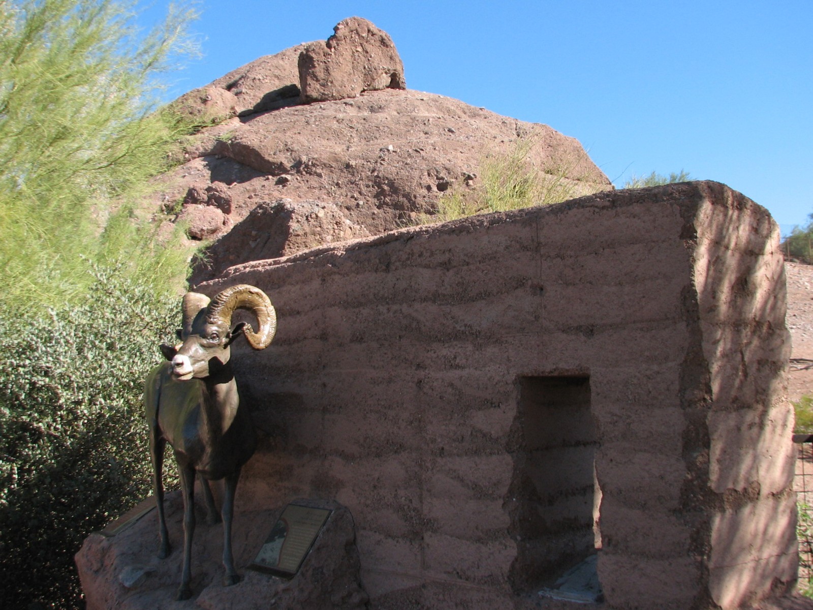 Desert Lives - Desert Bighorn Sheep Statue