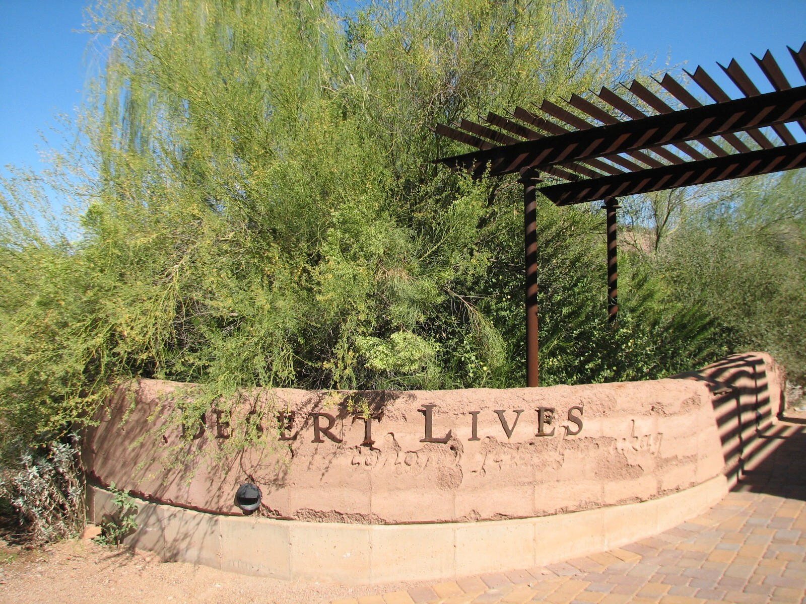 Desert Lives - Sonoran Entrance