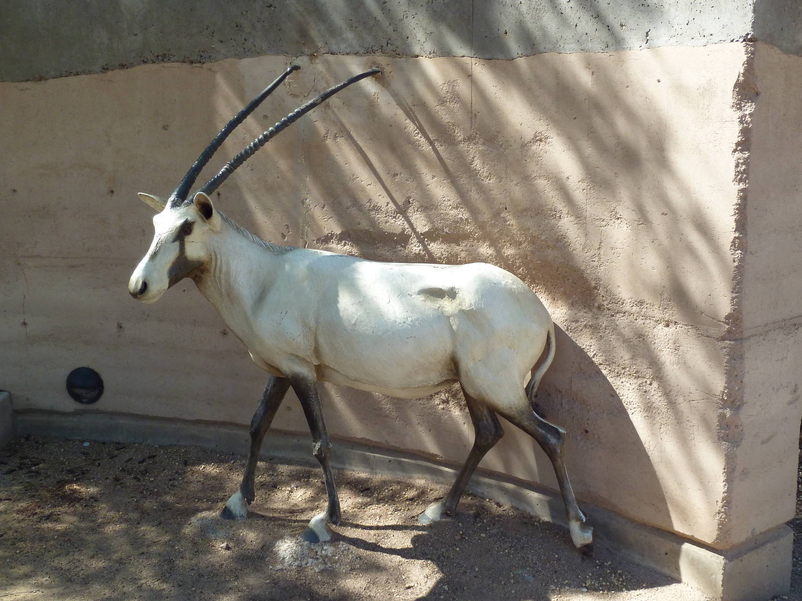 Desert Lives Trail - Arabian Oryx Statue