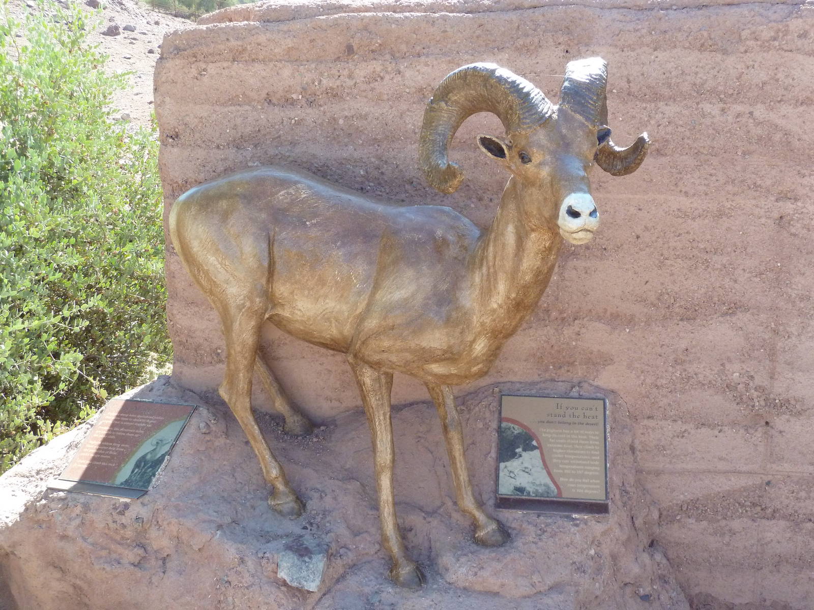 Desert Lives Trail - Desert Bighorn Sheep Statue