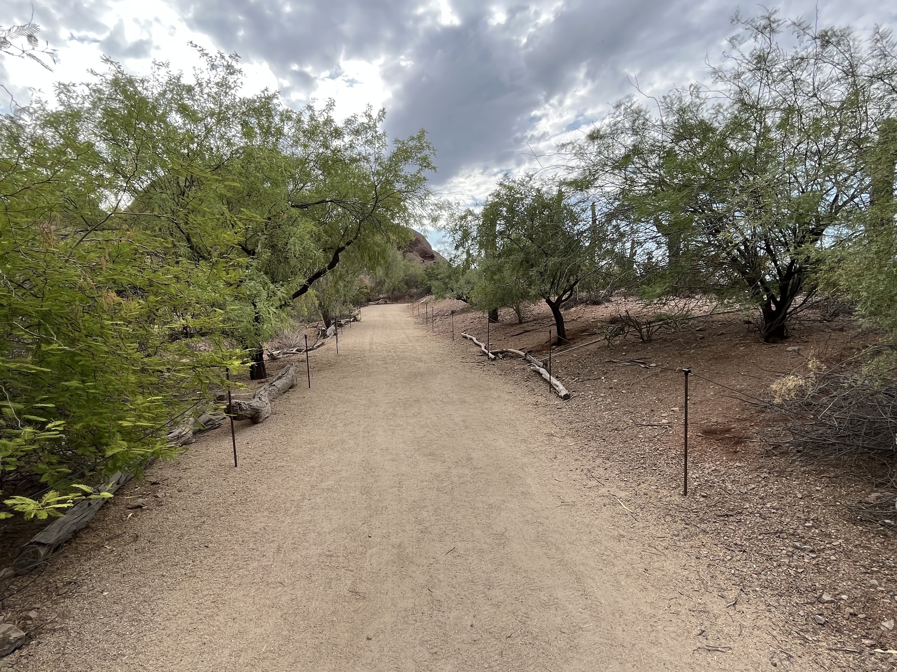 Desert Lives - visitor trail