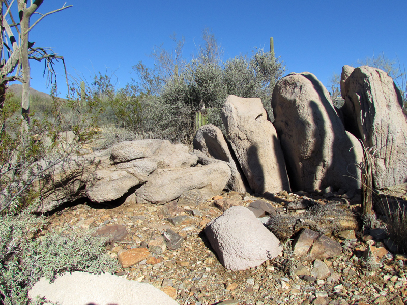 Desert Loop Trail - Chuckwalla and Eastern Collared Lizard Exhibit