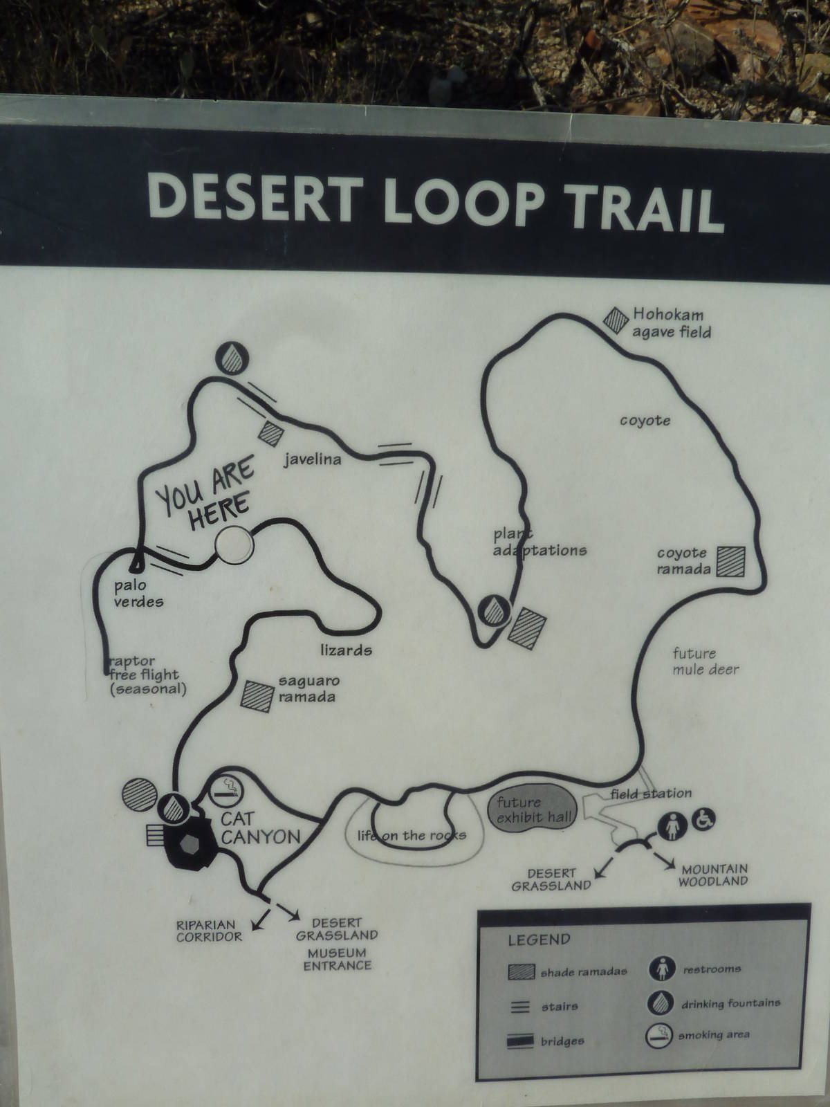Desert Loop Trail - Map