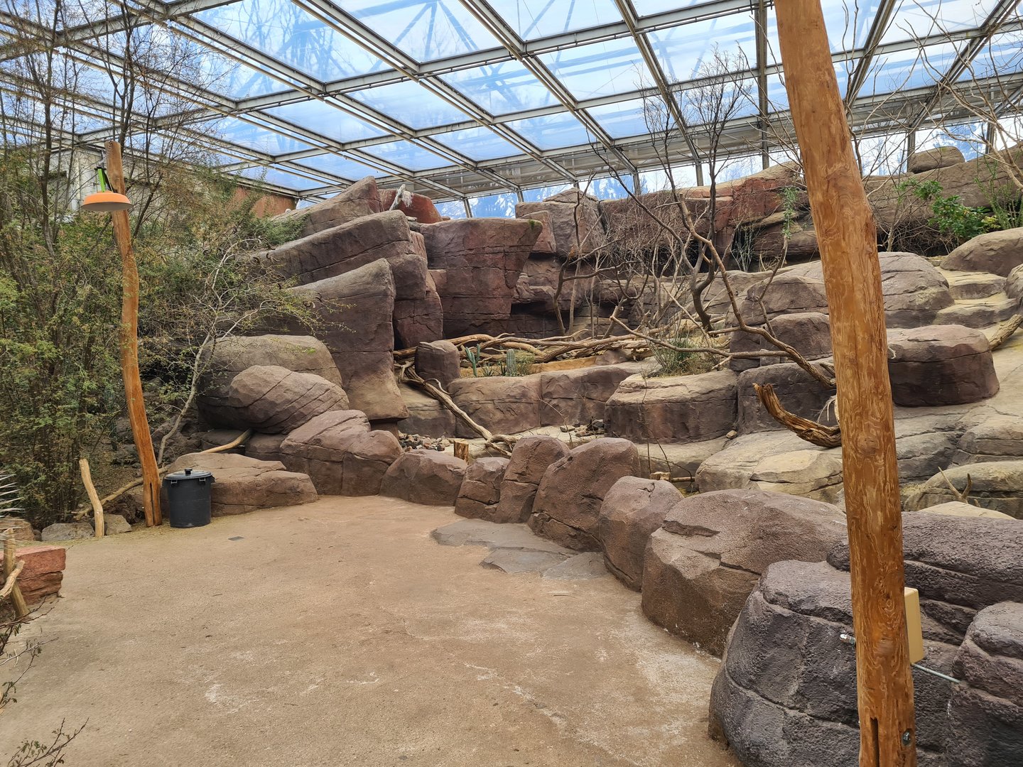 Desert - Main enclosure for Peccary, Prairie dog and Porcupines