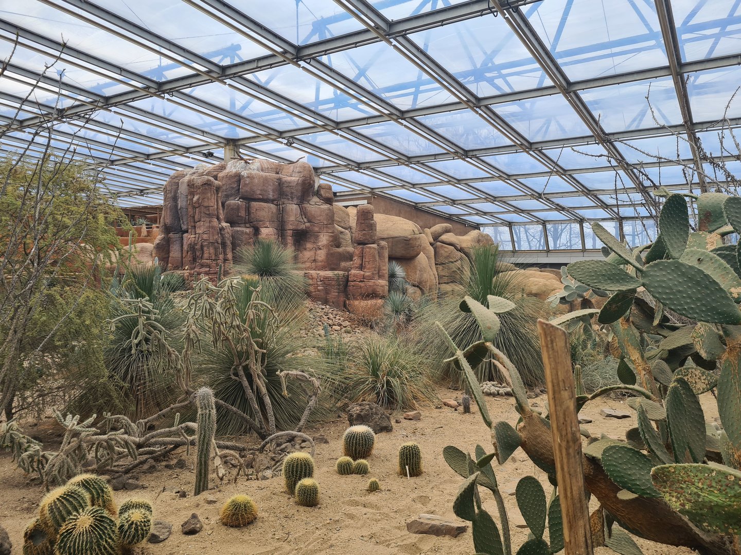 Desert - Main mesa and cacti