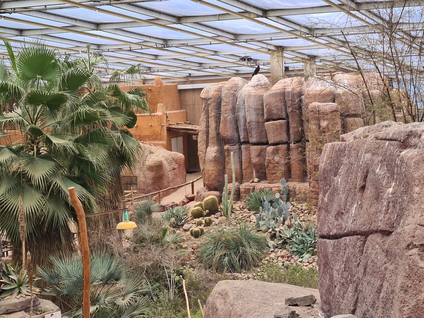 Desert - Main mesa and Turkey vulture