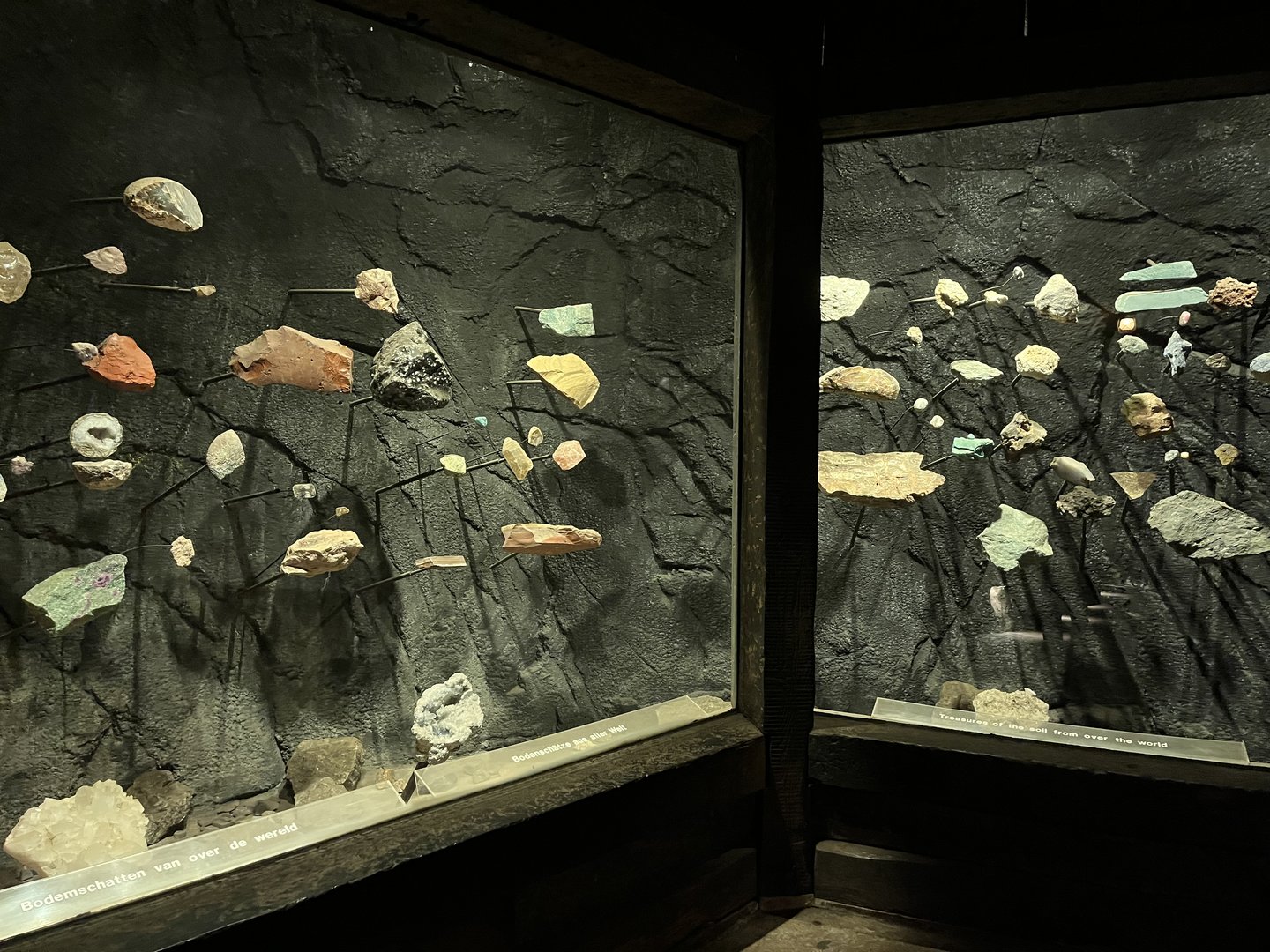 Desert- Mineral display 6.7.23