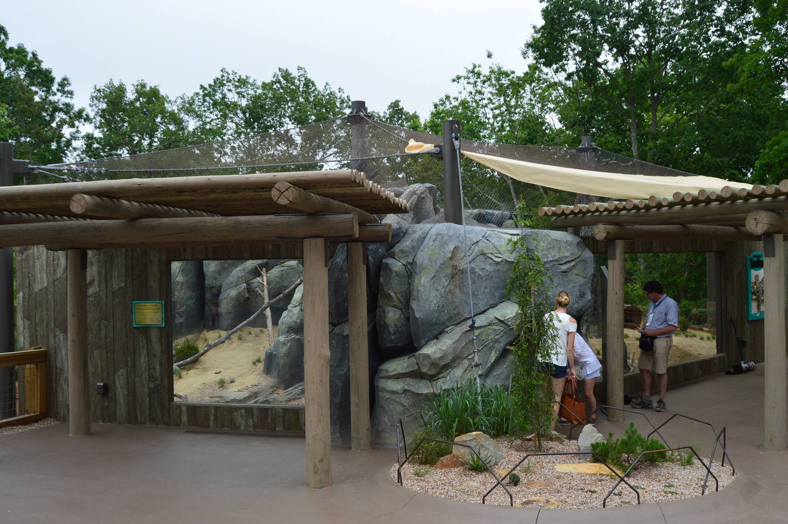 Desert - New Ocelot Exhibit