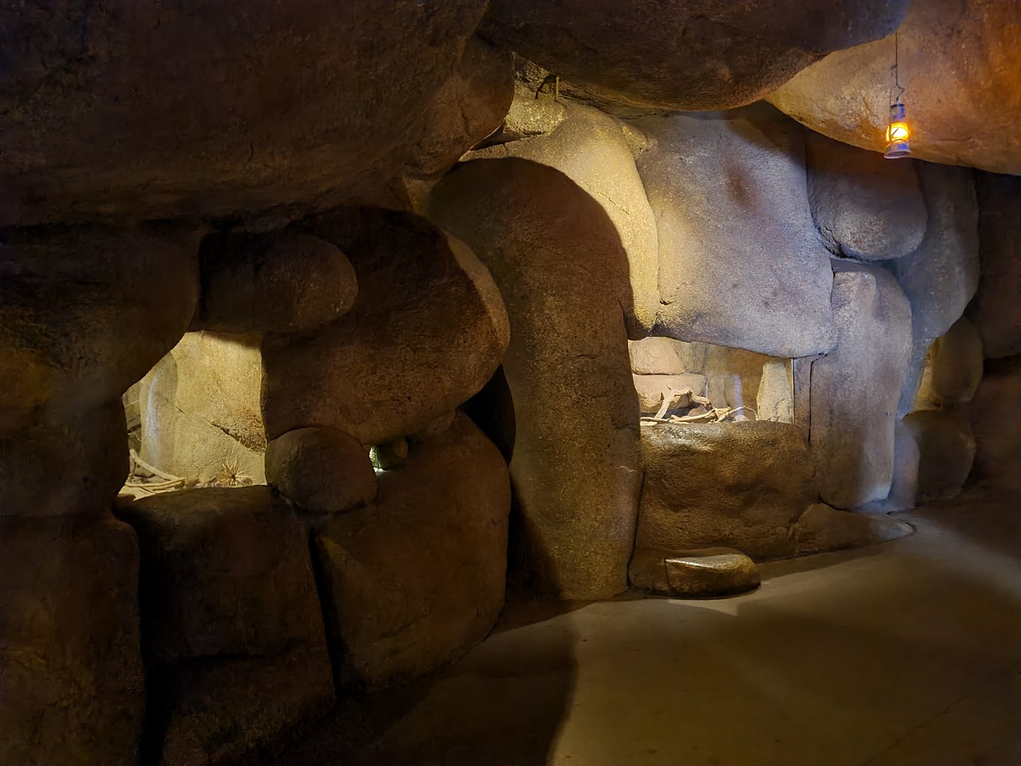 Desert - Nocturnal cavern