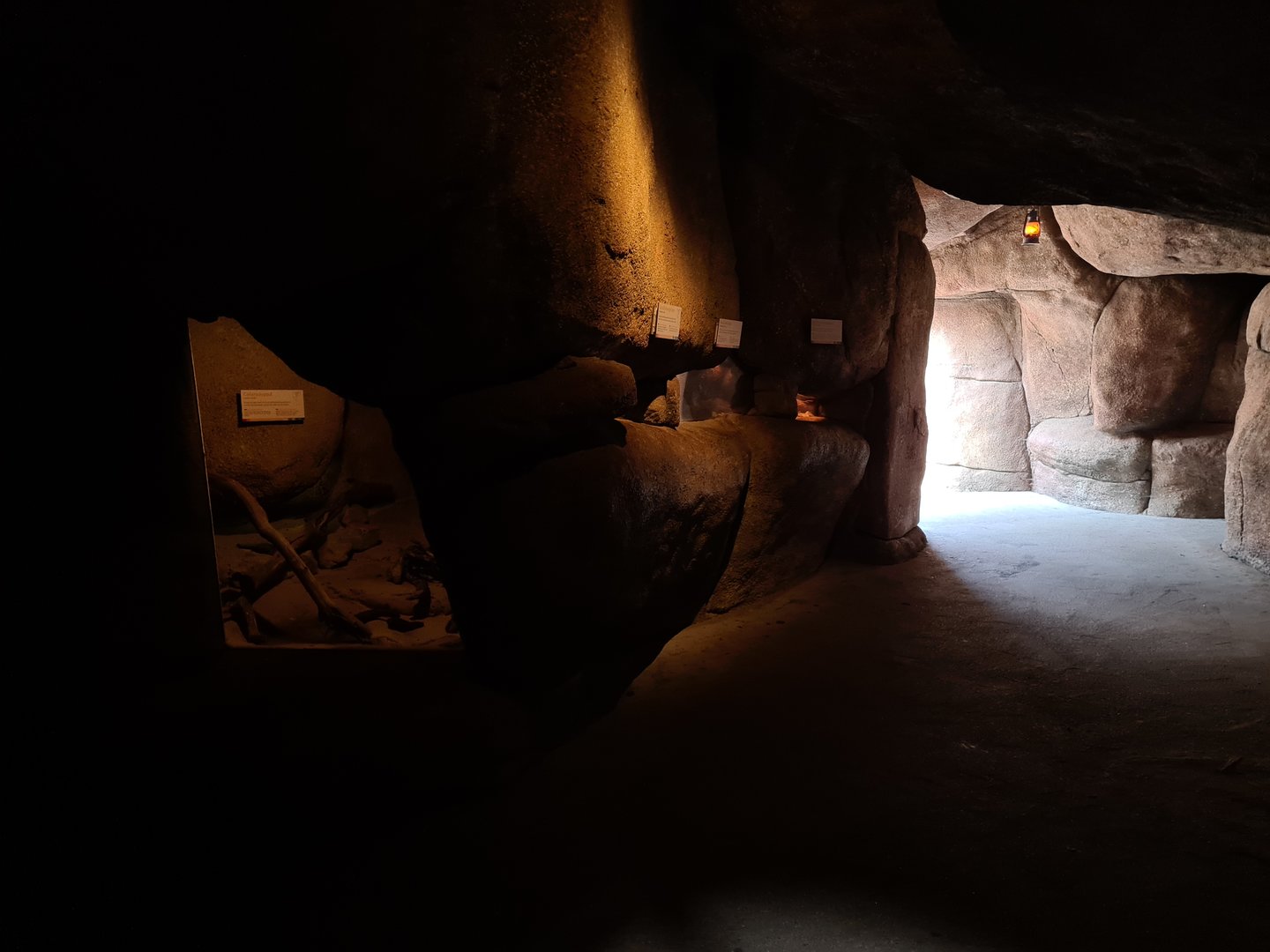 Desert - Nocturnal cavern