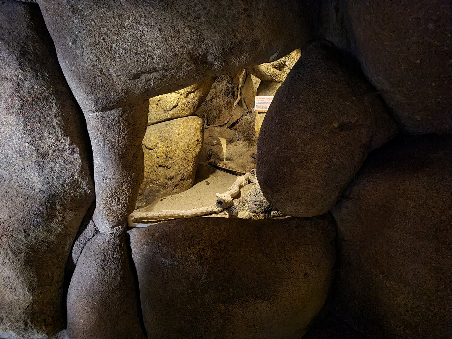 Desert - Nocturnal cavern