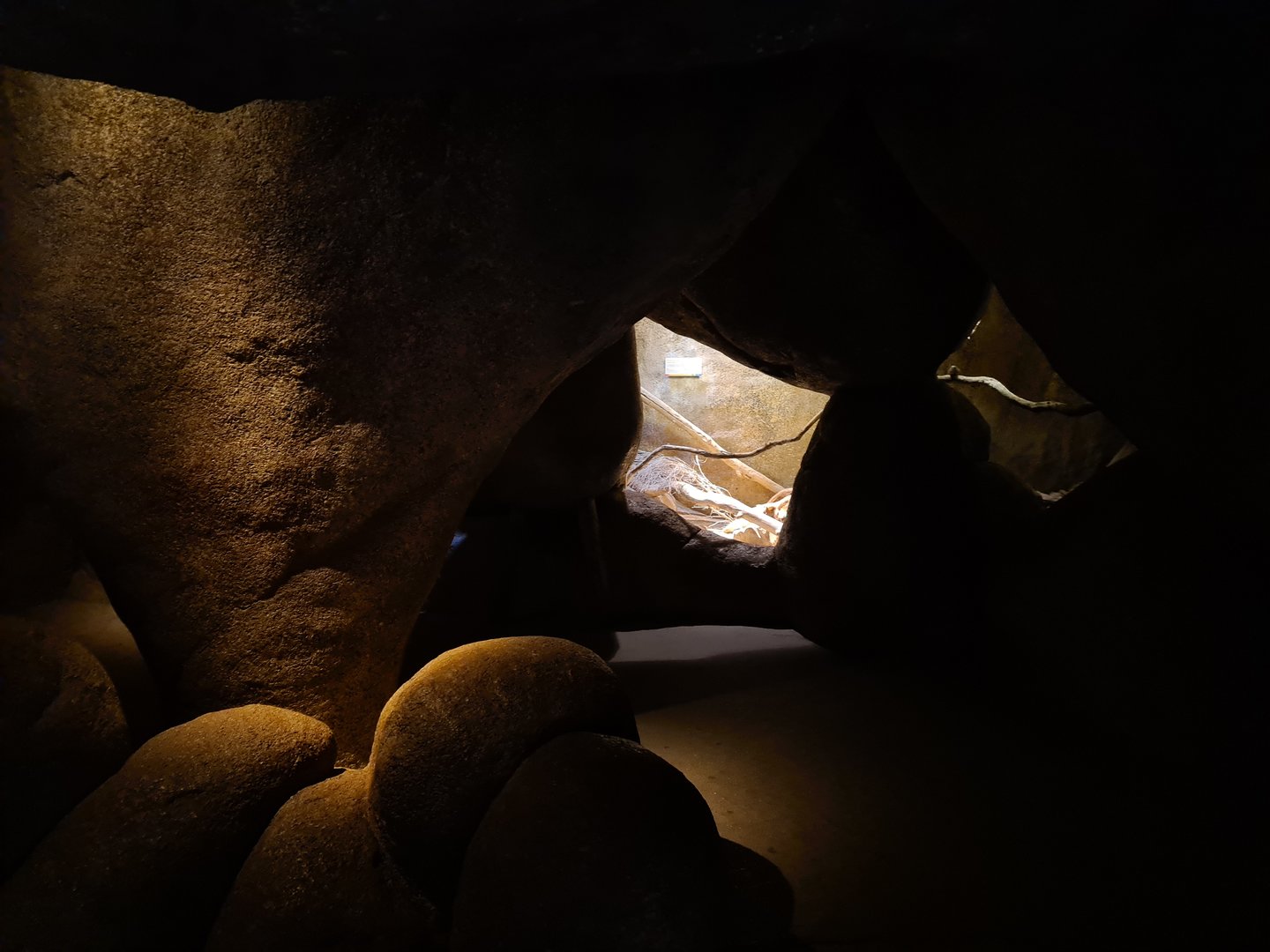 Desert - Nocturnal cavern