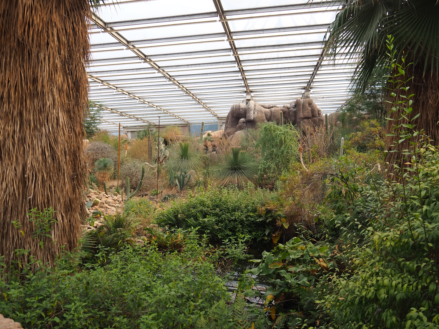 Desert - Oasis area, 2023-10-07