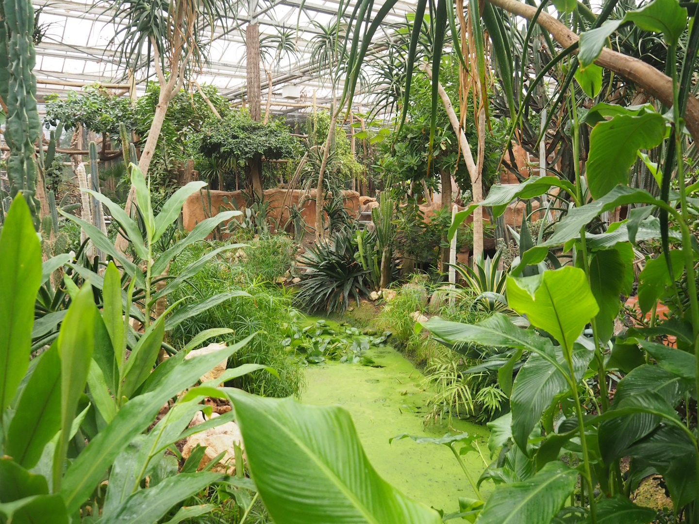 Desert oasis gardens, 2023-10-13