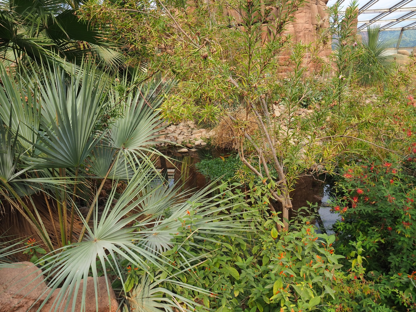 Desert oasis (Sep 16th, 2018)