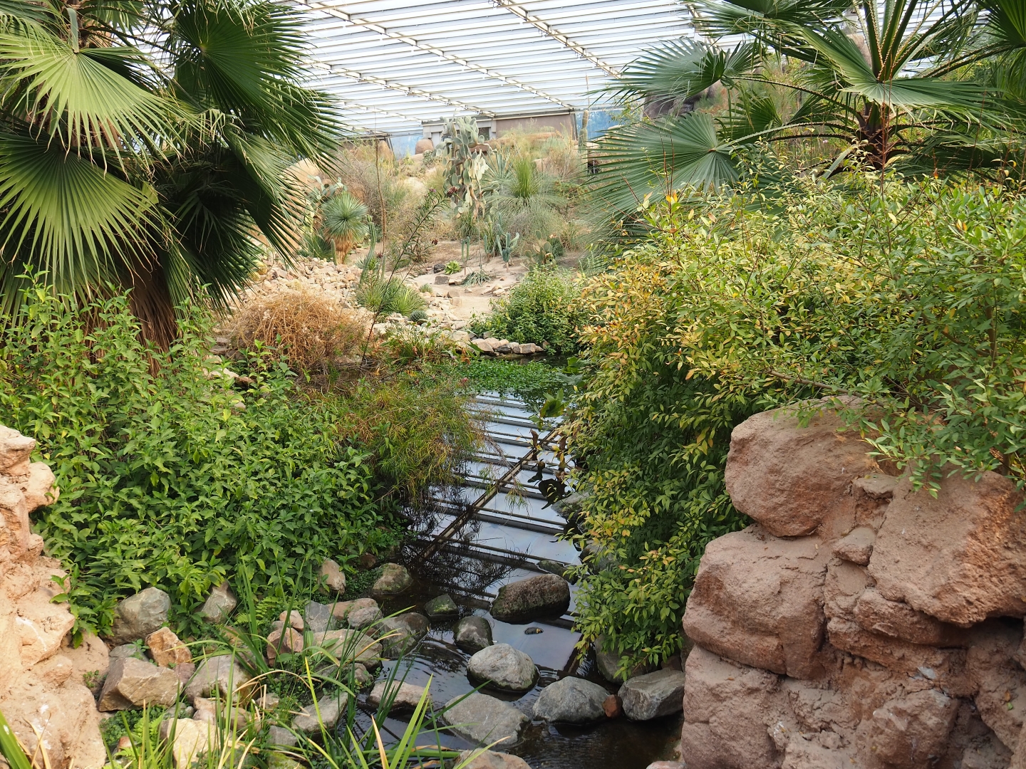 Desert oasis (Sep 16th, 2018)