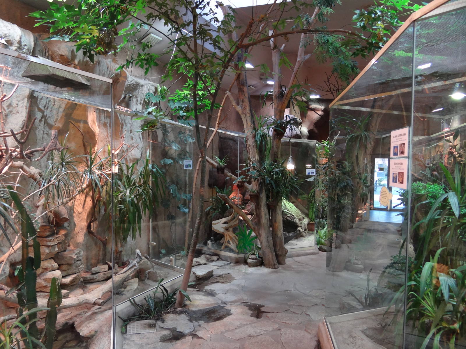 Desert part of Reptile House