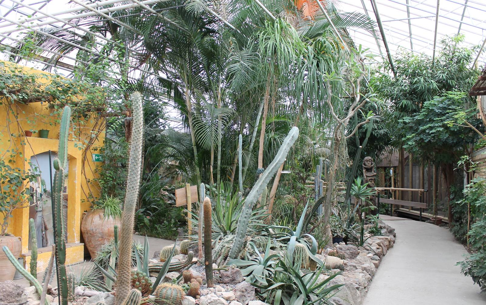 Desert-part of the ( butterfly ) free flight