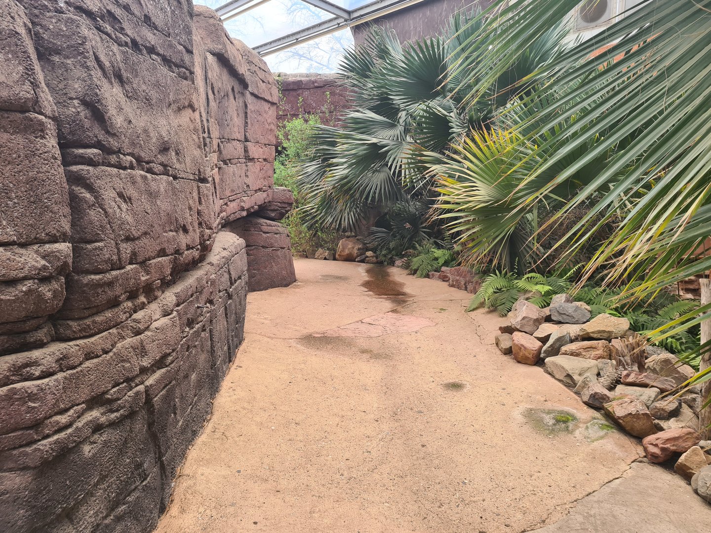 Desert - Path between Oasis creek and rocks from the main enclosure