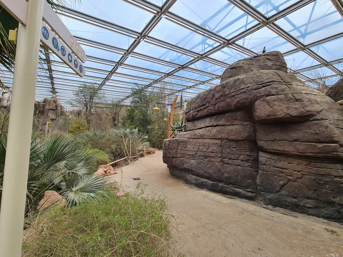 Desert - Path next to main enclosure