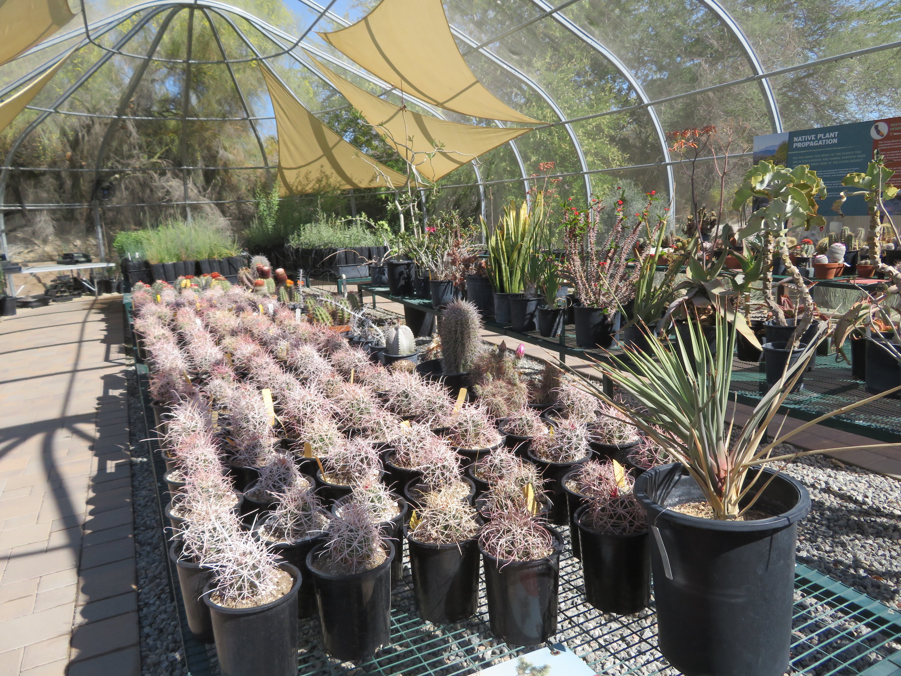 Desert Plant Conservation Center