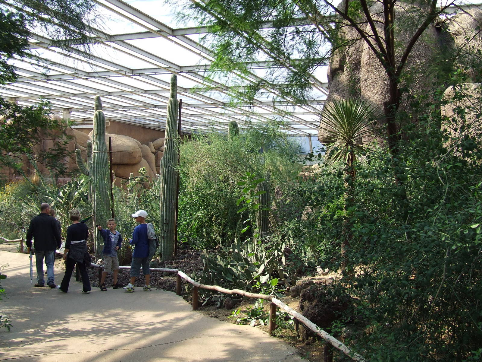 Desert plants, Burgers Desert