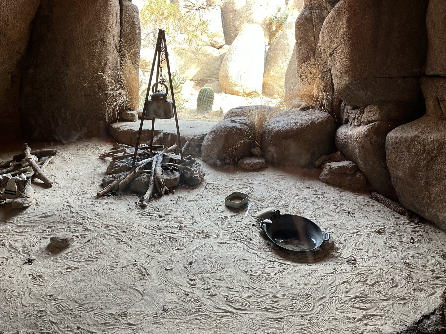 Desert- Rattlesnake and Gila monster enclosure 6.7.23