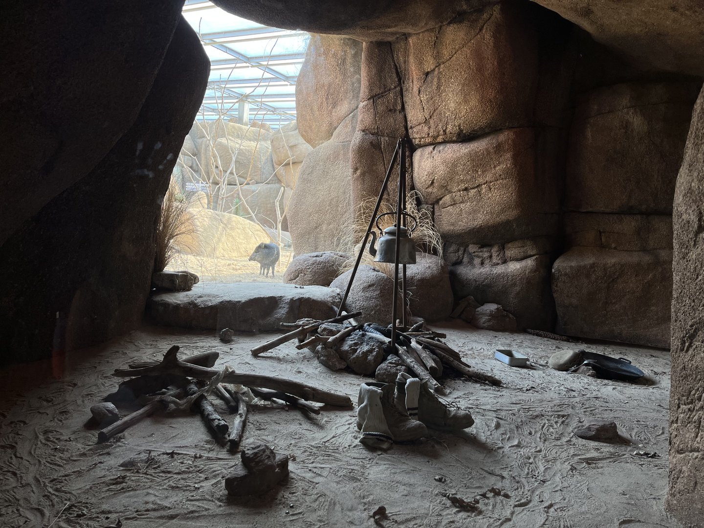 Desert- Rattlesnake and Gila monster enclosure (with Peccary in background) 6.7.23