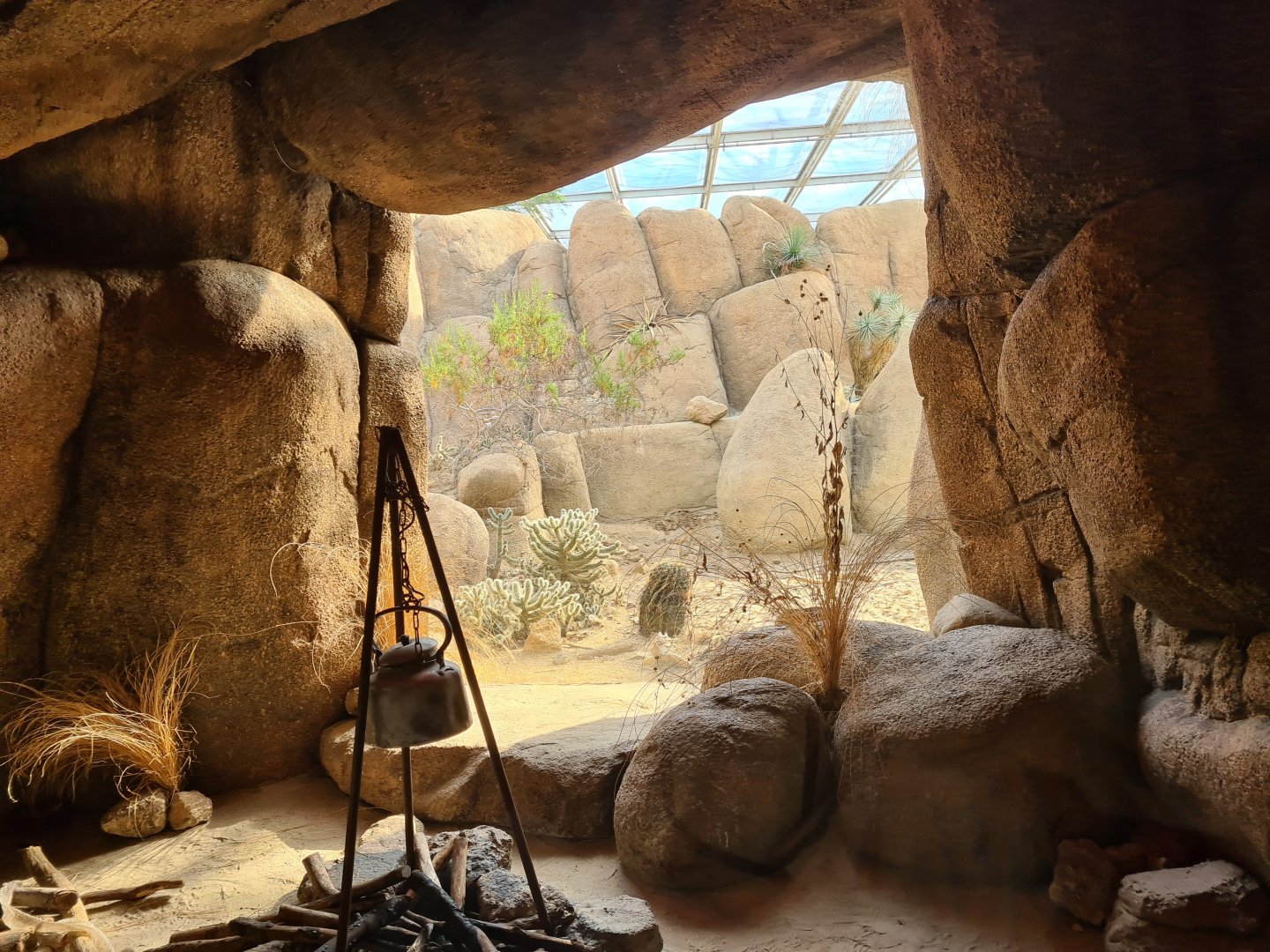 Desert - Rattlesnake terrarium