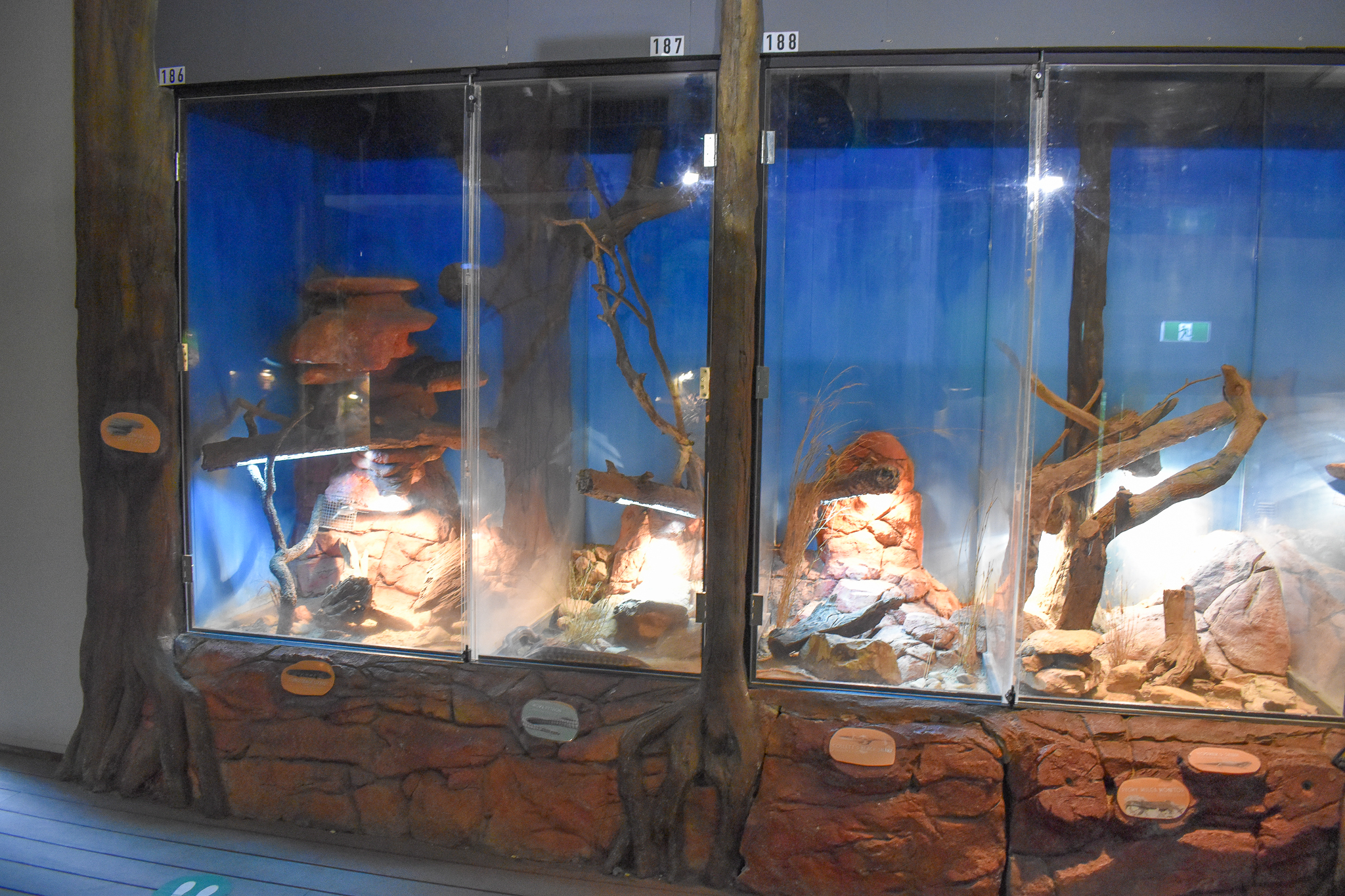 Desert Reptile Enclosures