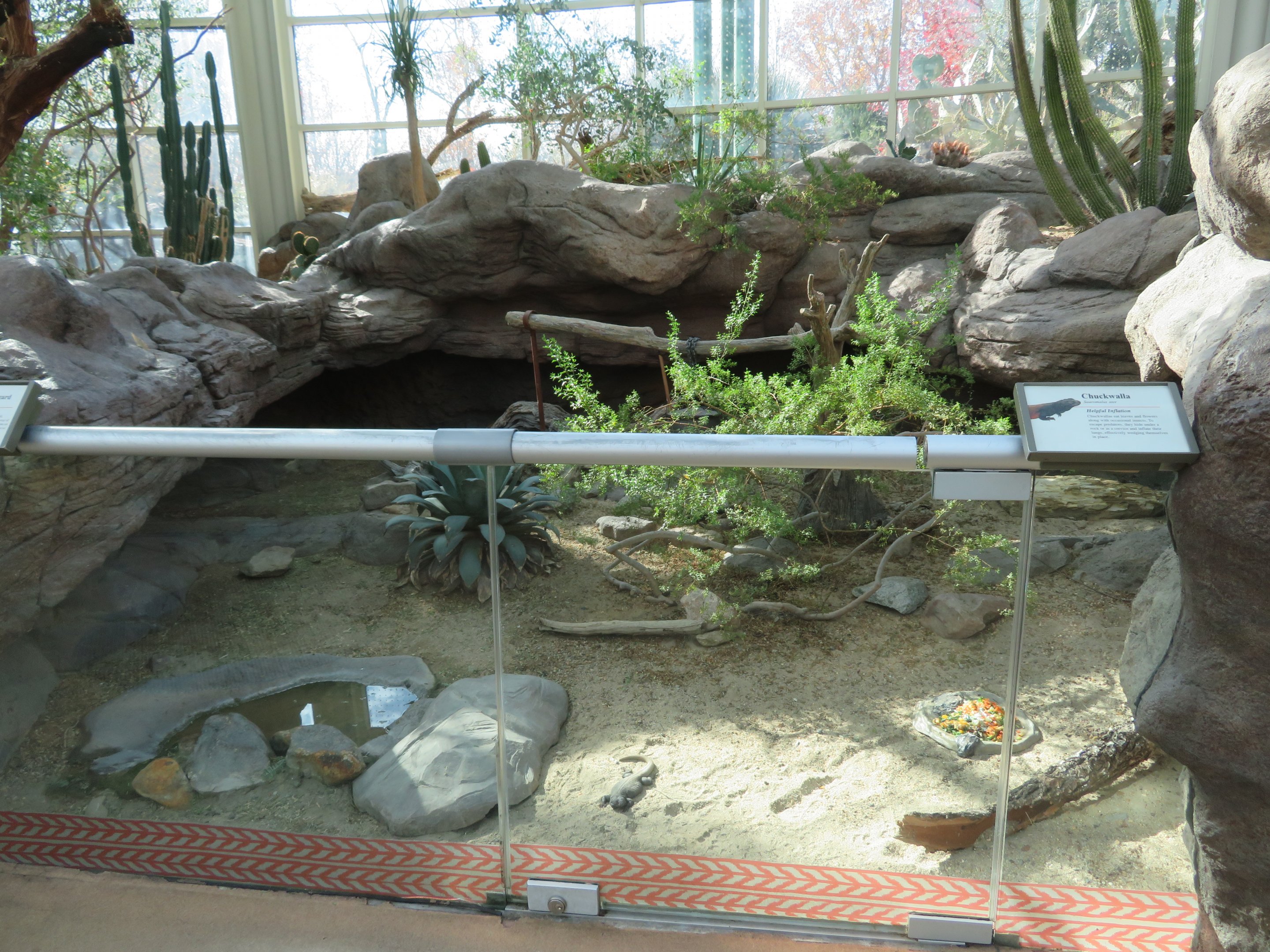 Desert Reptile Exhibit