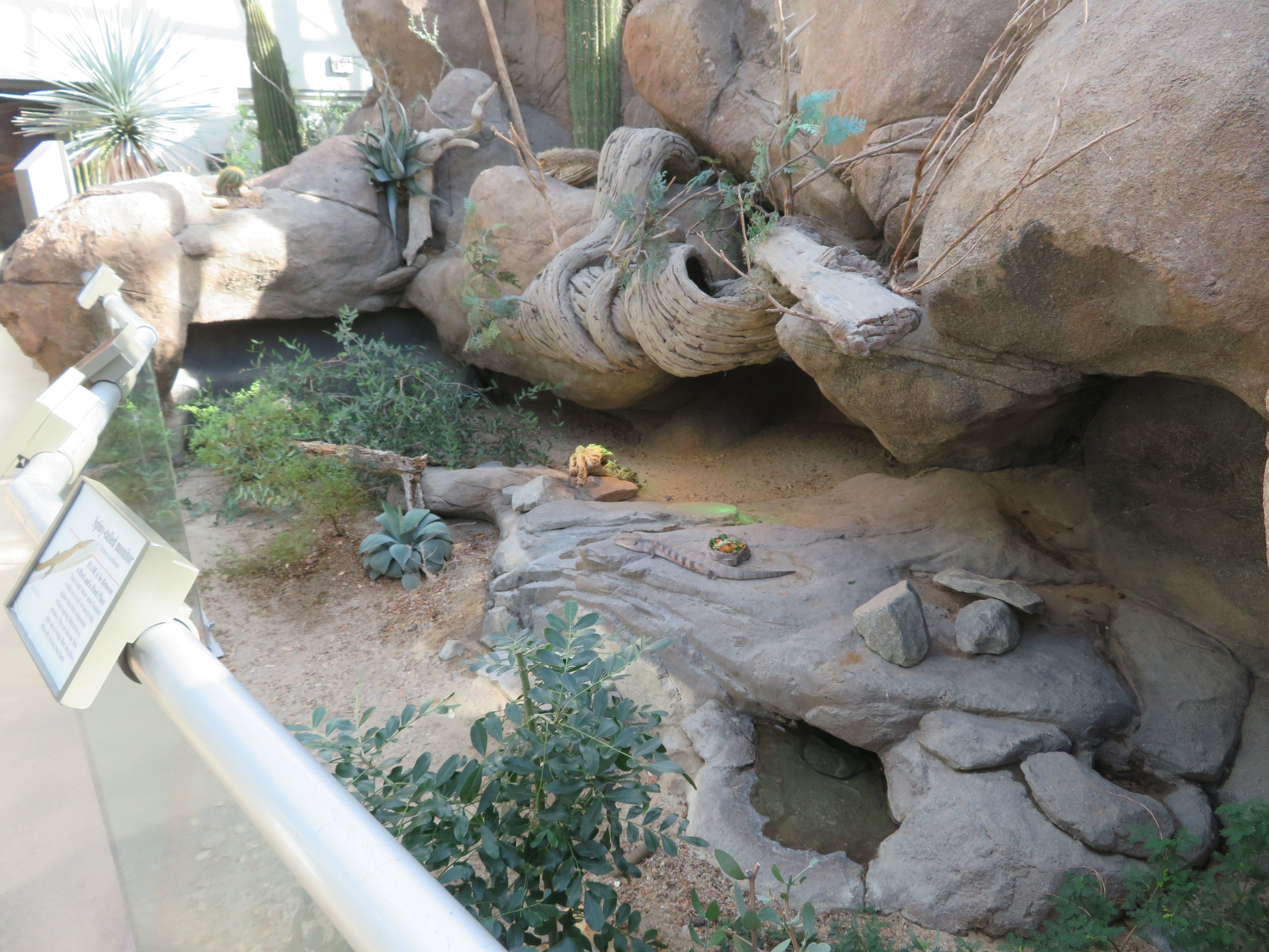 Desert Reptile Exhibit