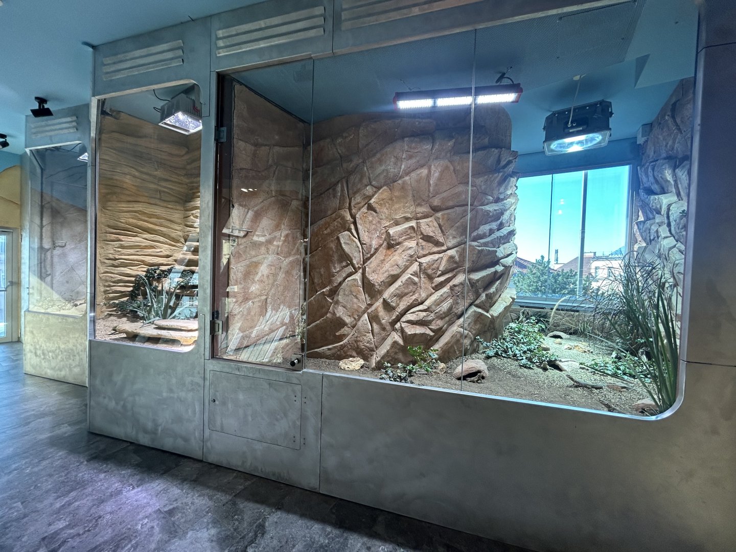 Desert Reptile Exhibits