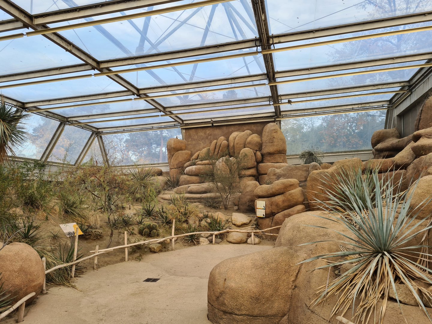 Desert - Roadrunner aviary