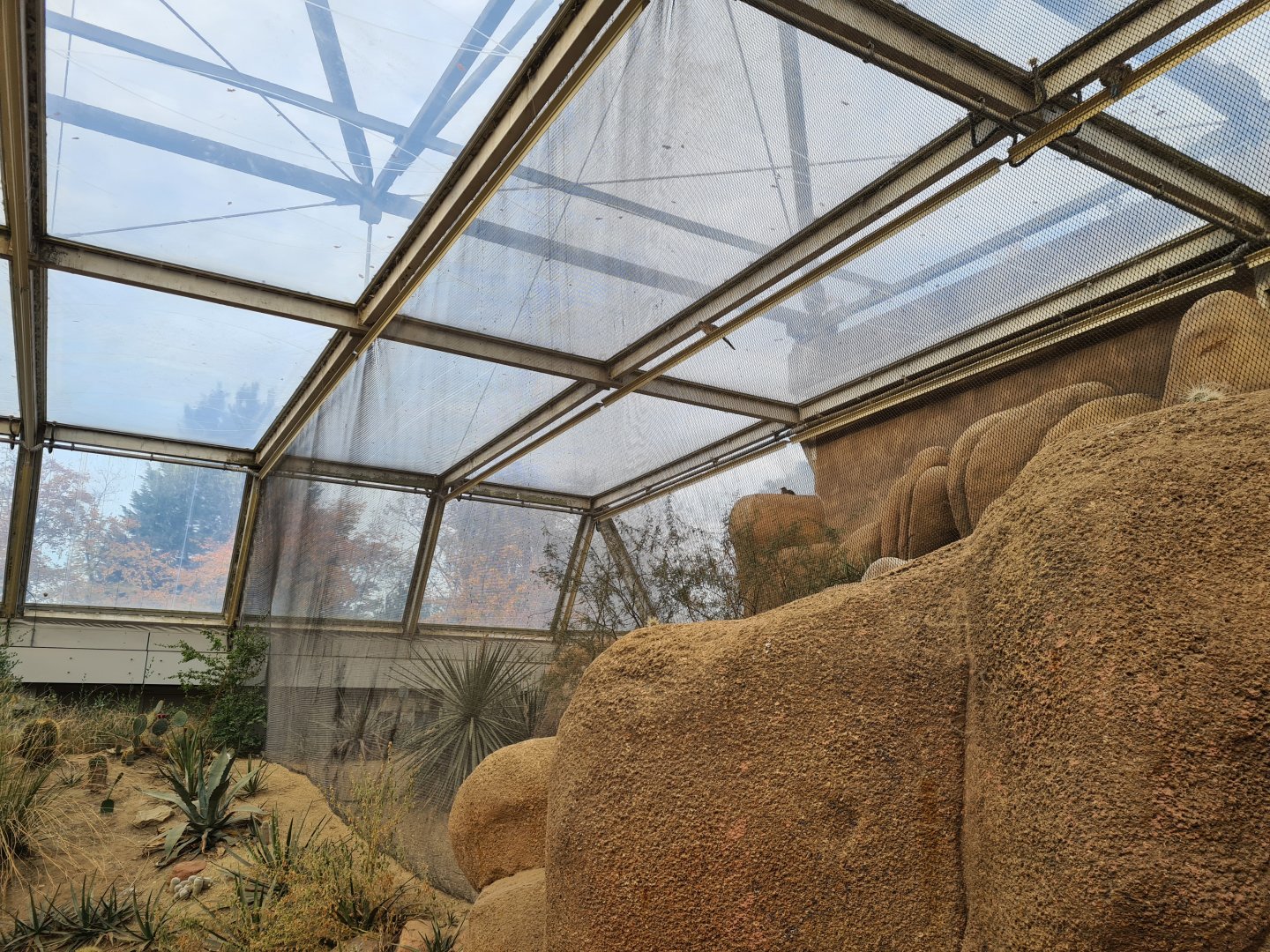 Desert - Roadrunner aviary