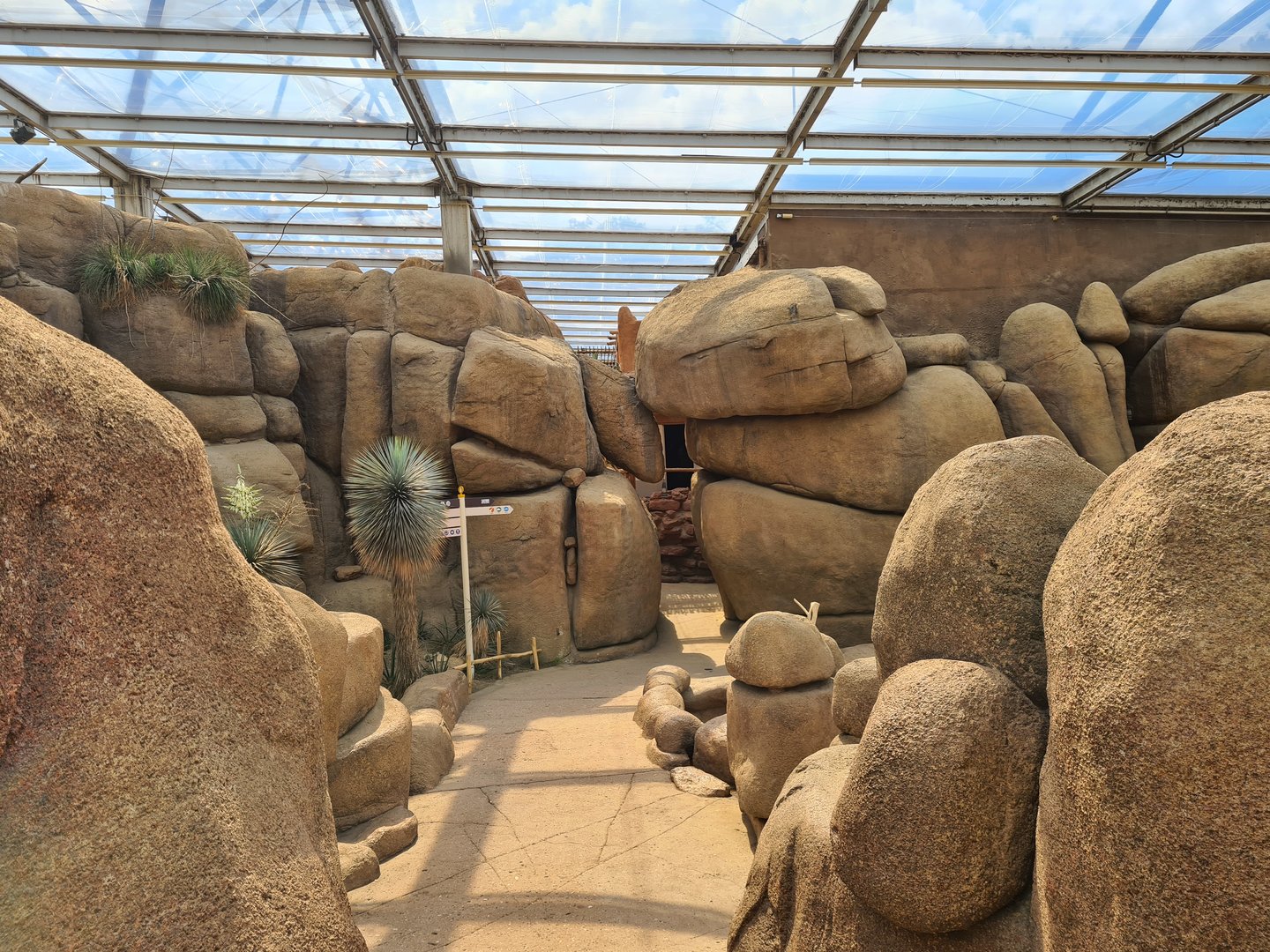 Desert - Rock formations