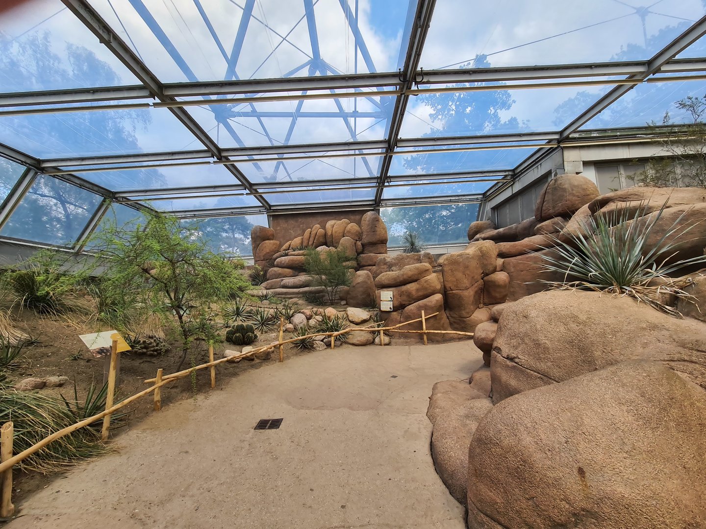 Desert - Rock path and Roadrunner aviary
