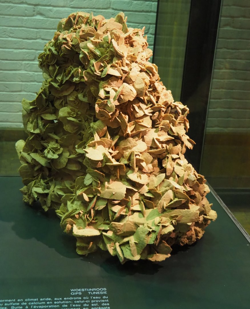 Desert rose gypsum crystal formation from Tunisia, 2019-12-03