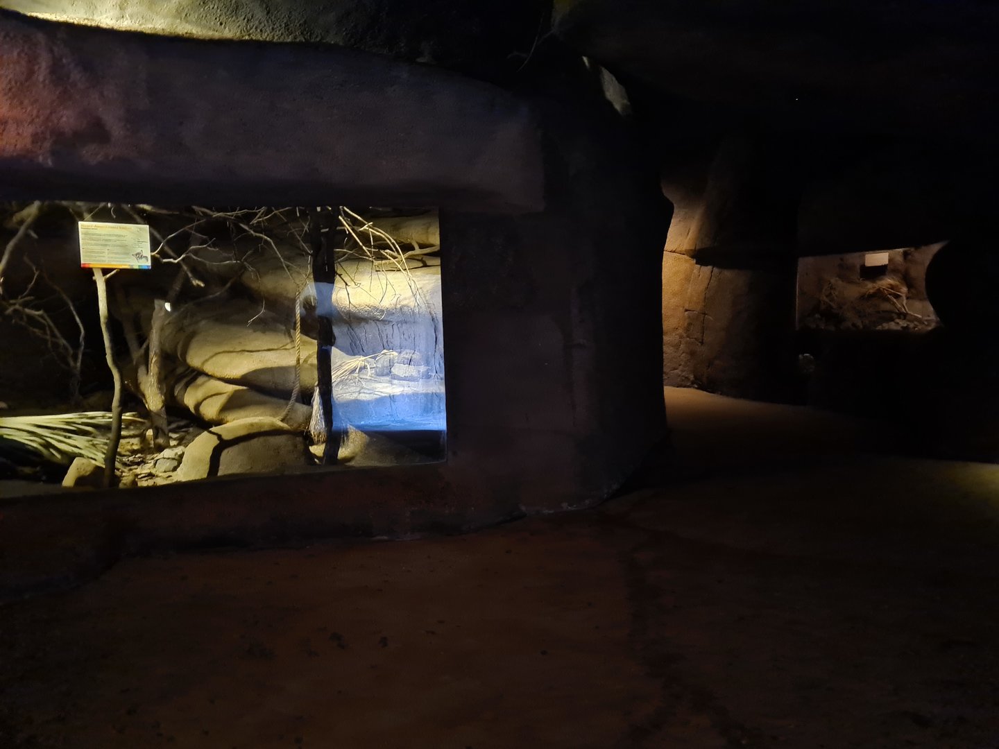 Desert - Second nocturnal cave